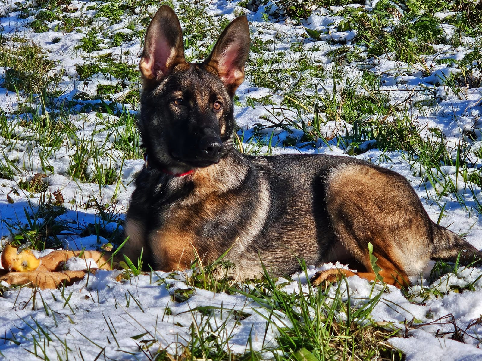 Vaiana von Burg Tiersperg